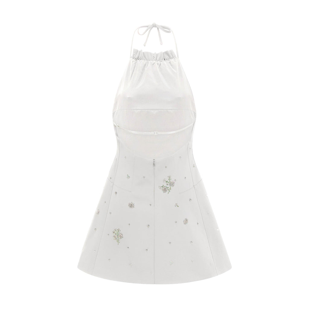 Ariane'İn Kristal İşlemeli Sırtı Açık Mini Elbisesi