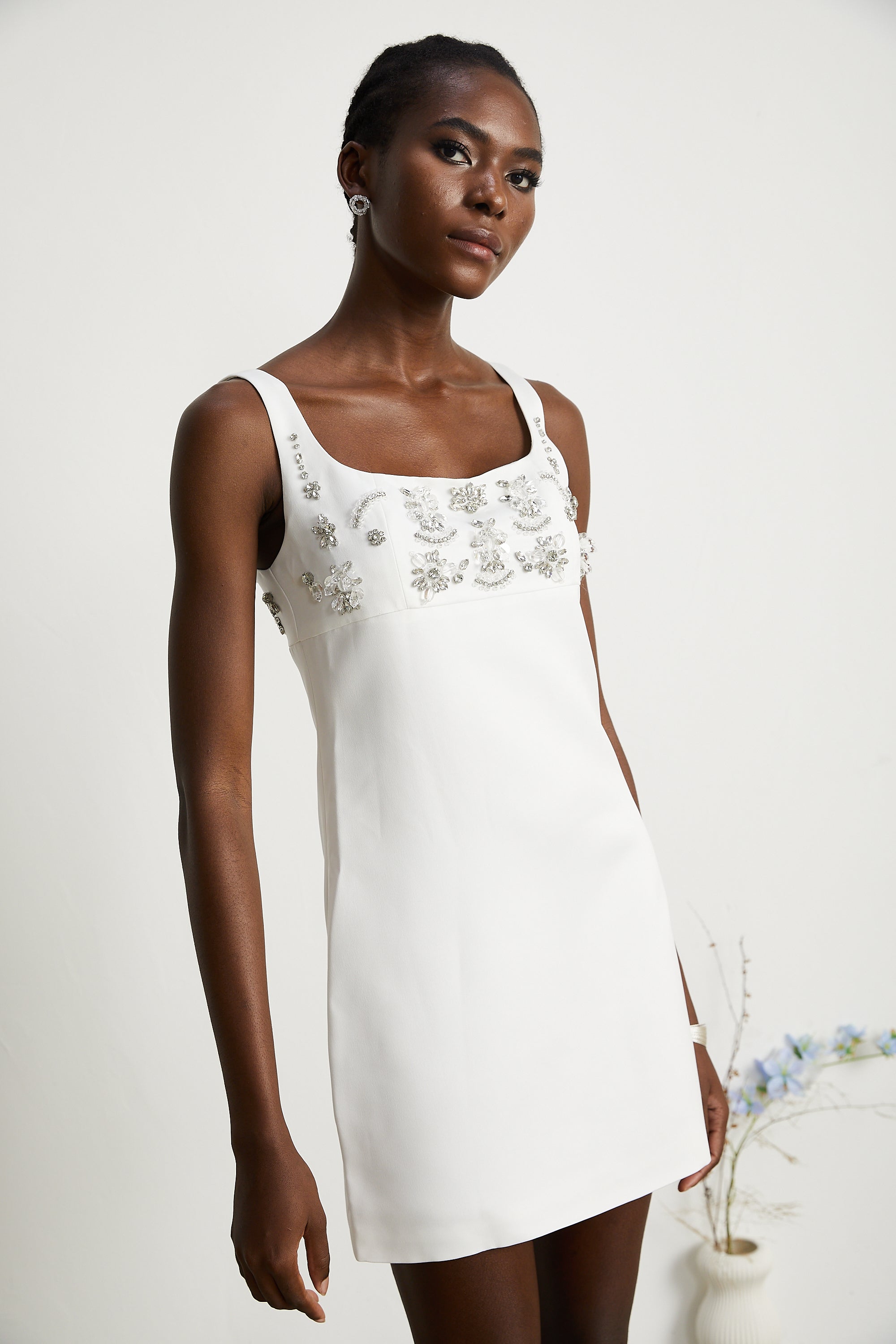 Ardelle İşlemeli Mini Elbise