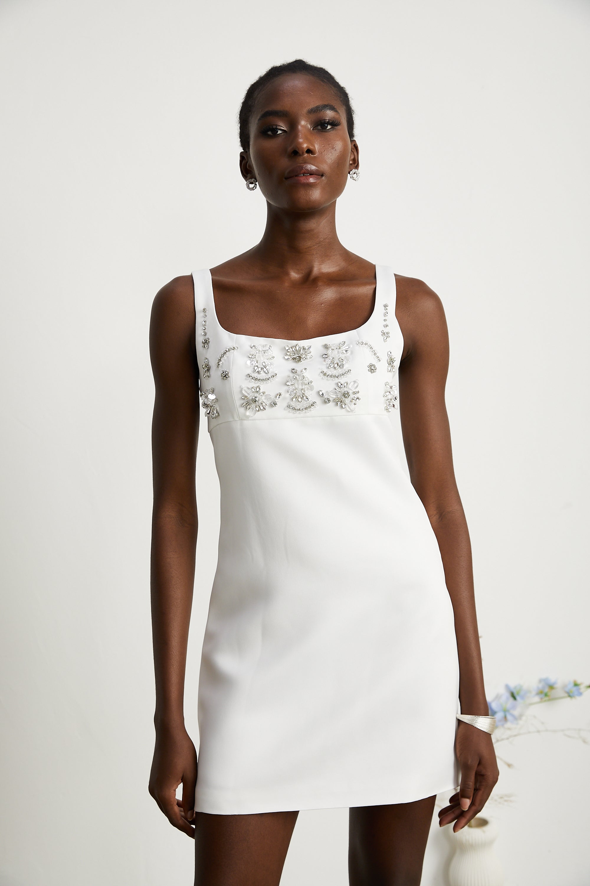 Ardelle İşlemeli Mini Elbise