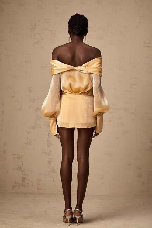 Adelina Altın Kristal Süslemeli Panelli Mini Elbise