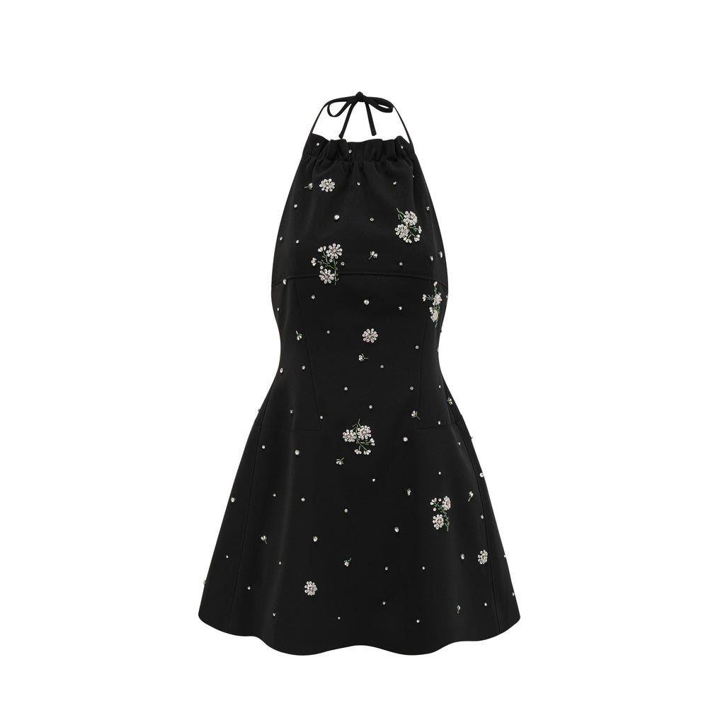 Ariane'İn Kristal İşlemeli Sırtı Açık Mini Elbisesi